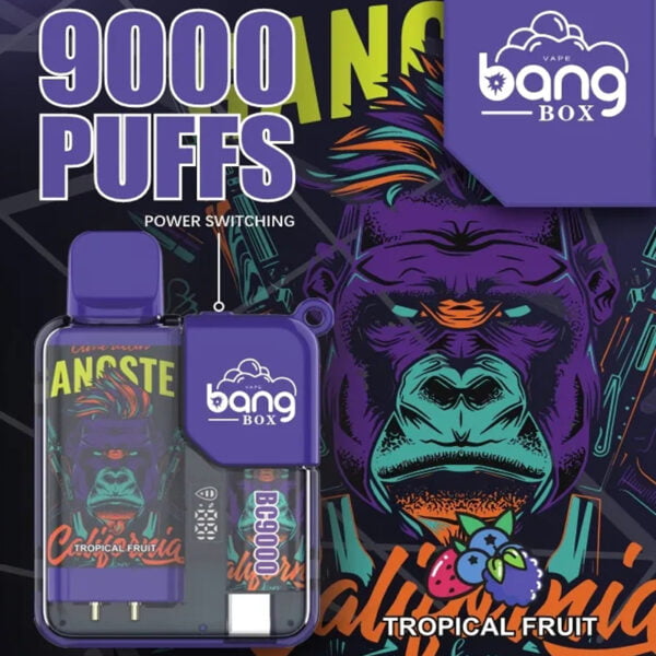 Bang Box 9000 Puffs 0% 2% 3% 5% Nikotiini laetav LED Pover Display ühekordse kasutusega vape hulgimüük – WhizVape – 3