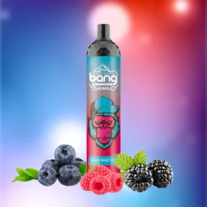 Bang King 6000 Puffs 0% 2% 3% 5% Nikotin Einweg Pod Vape Großhandel - WhizVape - 9