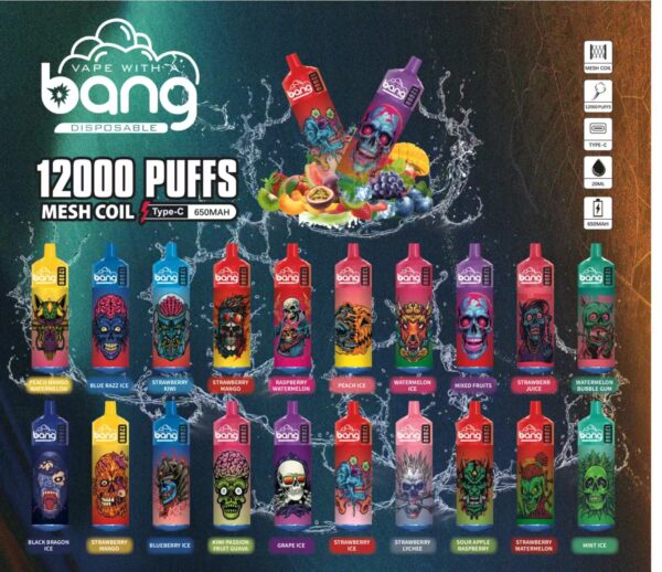 Bang Box 12000 Puffs 0% 2% 3% 5% Никотиновый перезаряжаемый одноразовый вейп оптом - WhizVape - 1